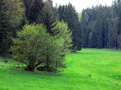 Kipfenberg im Naturpark Altmühltal